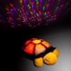 Ночник проектор звездного неба Музыкальная черепаха