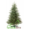Новогодние искусственные елки от первого поставщика GreenTerra