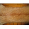 Продам шкуры Сибирской рыжей лисы.