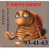 Уничтожение клопов тараканов в Томске
