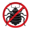 Уничтожить избавится вывести убить клопов блох муравьи тараканы