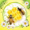продам пчёл