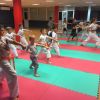 Карате спорт занятия для детей Ростов Западный