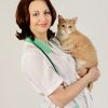 Консультация ветеринара онлайн