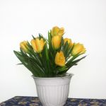 Цветы интерьерные искусственные (тюльпаны)  в Коврове.