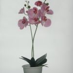 Растения интерьерные искусственные (цветы орхидеи)  в Коврове.