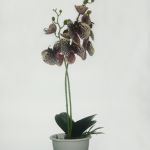Растения интерьерные искусственные (цветы орхидеи)  в Коврове.