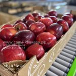 Оптовая продажа яблок разных сортов и калибров